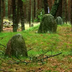 Kamienne kręgi Węsiorów w lesie, porośnięte mchem głazy tworzą tajemniczy krąg.