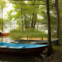 Łodzie cumujące nad jeziorem w Sierakowskim Parku Krajobrazowym. Zielone i niebieskie łodzie czekają na wodniaków.