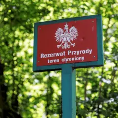 Tablica "Rezerwat Przyrody" z orłem w koronie, wskazująca na chroniony teren w dolinie Huczka.