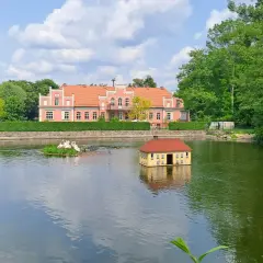 Wejherowo Park Majkowskiego: urokliwy staw z pływającym domkiem i łabędziami, w tle różowy pałacyk. Idealne miejsce na rodzinne imprezy.