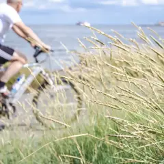 Mężczyzna na rowerze jedzie ścieżką Velo Baltica R10. Wiatr porusza trawami nad morzem.