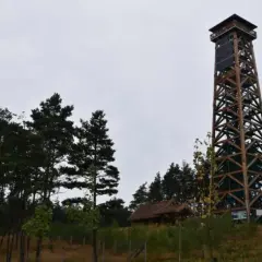 Drewniana wieża widokowa góruje nad lasem. Obok niej mały domek z drewnianym dachem.