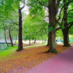 Malowniczy park w Żukowie, z mostkiem, strumykiem i alejkami, zachęca do spacerów i rowerowych wycieczek. Idealne miejsce na relaks wśród zieleni.