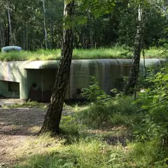 Zarośnięte trawą bunkry Hel ukryte w lesie, z widocznym wejściem i kopułą obserwacyjną.