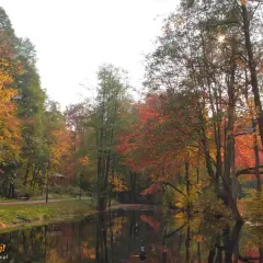Jesienny park w Wejherowie, z jeziorem odbijającym kolorowe liście. Piękne wejherowo atrakcje przyrodnicze.