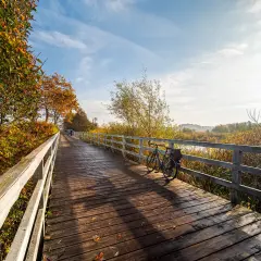 Drewniany mostek na trasie EuroVelo 10, z rowerem i jesiennymi liśćmi.