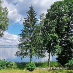 Spokojne jezioro, zielone drzewa i błękitne niebo z chmurami. Tak właśnie wyglądają Kaszuby, gdzie można odpocząć od zgiełku.