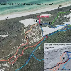 Mapa ścieżki przyrodniczo-leśnej "Wydma Lubiatowska" z zaznaczonymi pętlami, punktami widokowymi i wejściami na plażę.