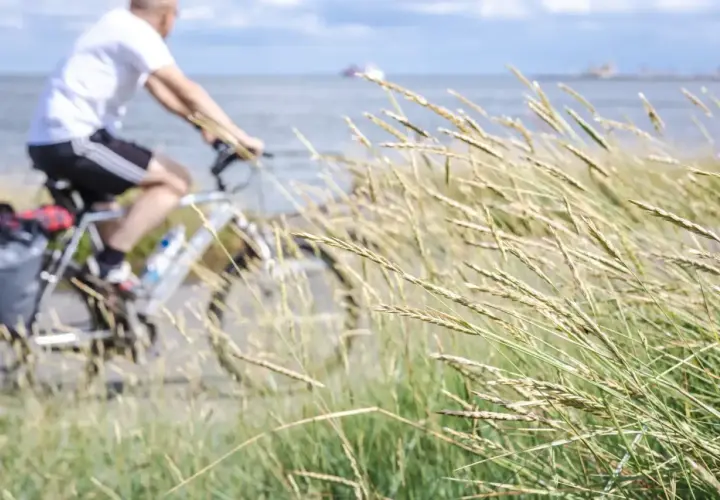 Mężczyzna na rowerze jedzie ścieżką Velo Baltica R10. Wiatr porusza trawami nad morzem.