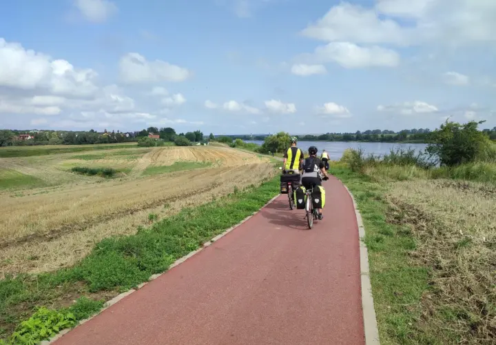 Rowerzyści na tczewskiej trasie podziwiają krajobraz z polami i rzeką.