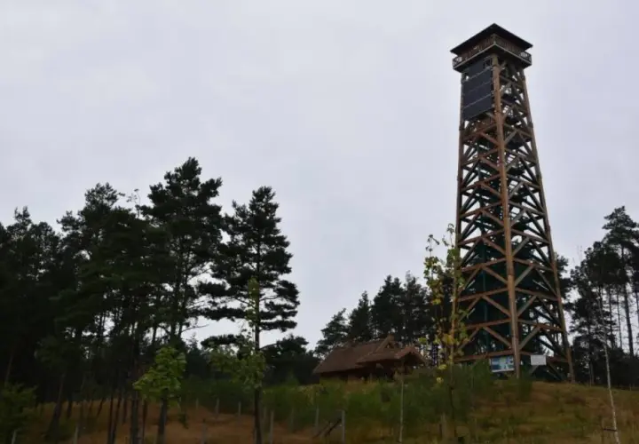 Drewniana wieża widokowa góruje nad lasem. Obok niej mały domek z drewnianym dachem.