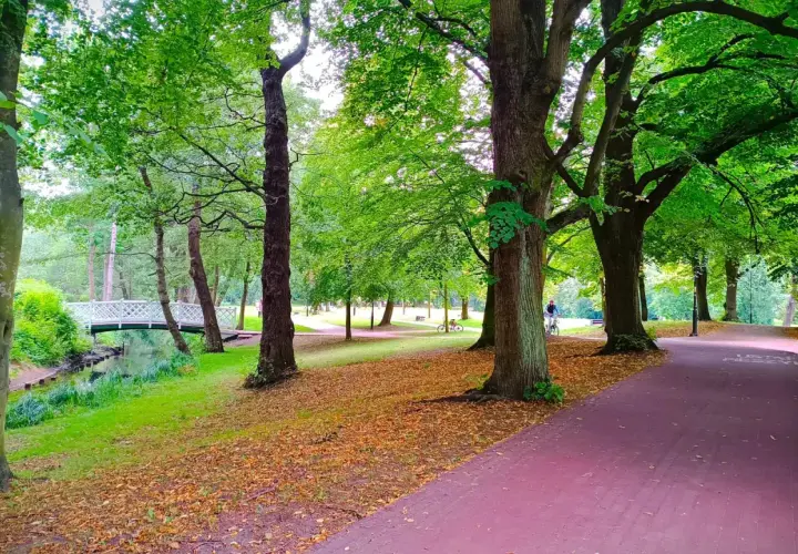 Malowniczy park w Żukowie, z mostkiem, strumykiem i alejkami, zachęca do spacerów i rowerowych wycieczek. Idealne miejsce na relaks wśród zieleni.