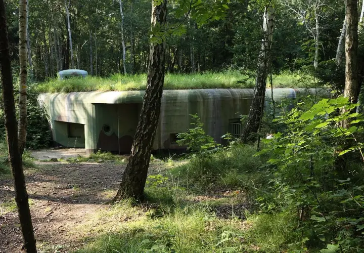 Zarośnięte trawą bunkry Hel ukryte w lesie, z widocznym wejściem i kopułą obserwacyjną.