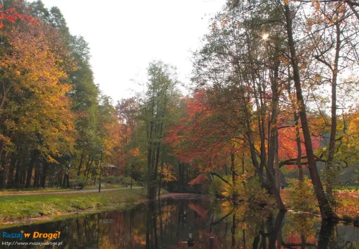Jesienny park w Wejherowie, z jeziorem odbijającym kolorowe liście. Piękne wejherowo atrakcje przyrodnicze.
