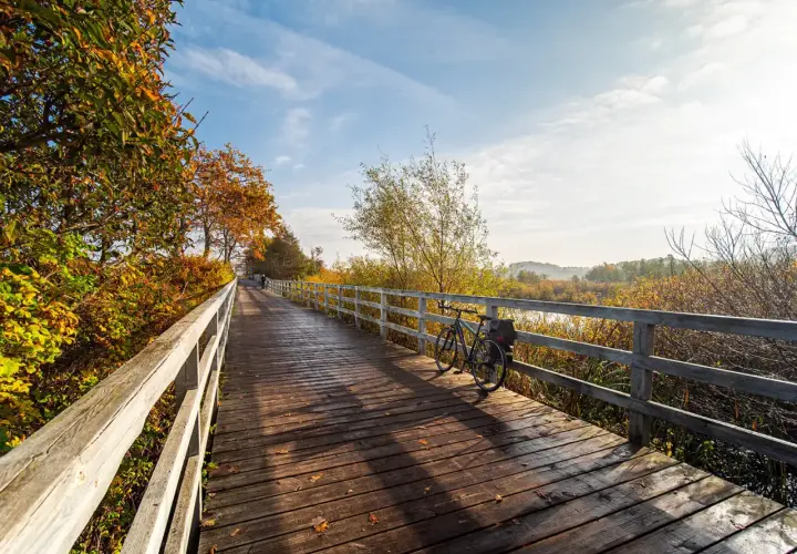 Drewniany mostek na trasie EuroVelo 10, z rowerem i jesiennymi liśćmi.