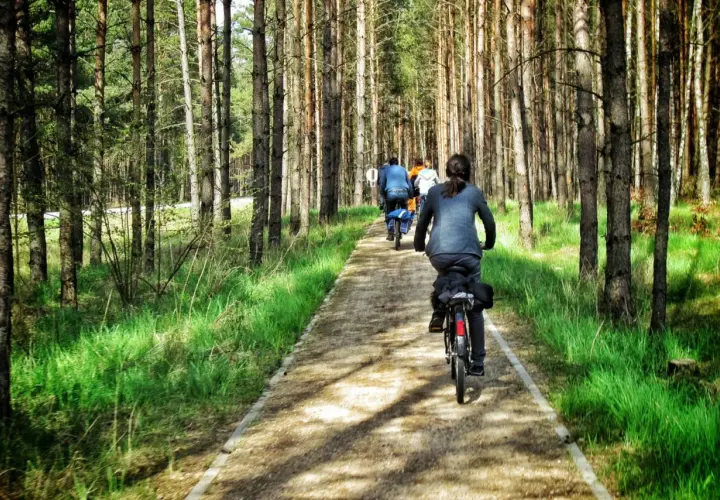 Rodzina na rowerach przemierza leśne trasy rowerowe dla dzieci. Słońce przebija się przez drzewa, tworząc magiczny klimat.