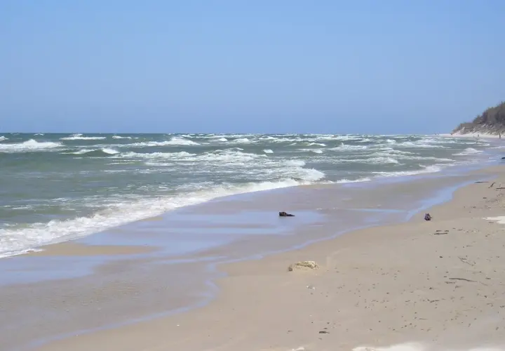 Plaża z falami i wydmami. W oddali widać ludzi spacerujących, co sugeruje, że to miejsce oferuje ciekawe **rowy atrakcje**.