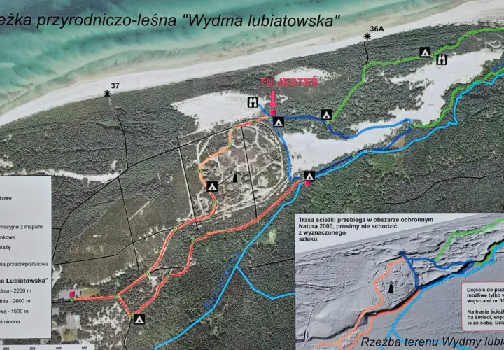 Mapa ścieżki przyrodniczo-leśnej "Wydma Lubiatowska" z zaznaczonymi pętlami, punktami widokowymi i wejściami na plażę.