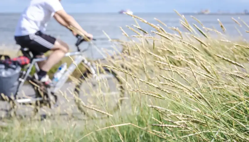 Mężczyzna na rowerze jedzie ścieżką Velo Baltica R10. Wiatr porusza trawami nad morzem.