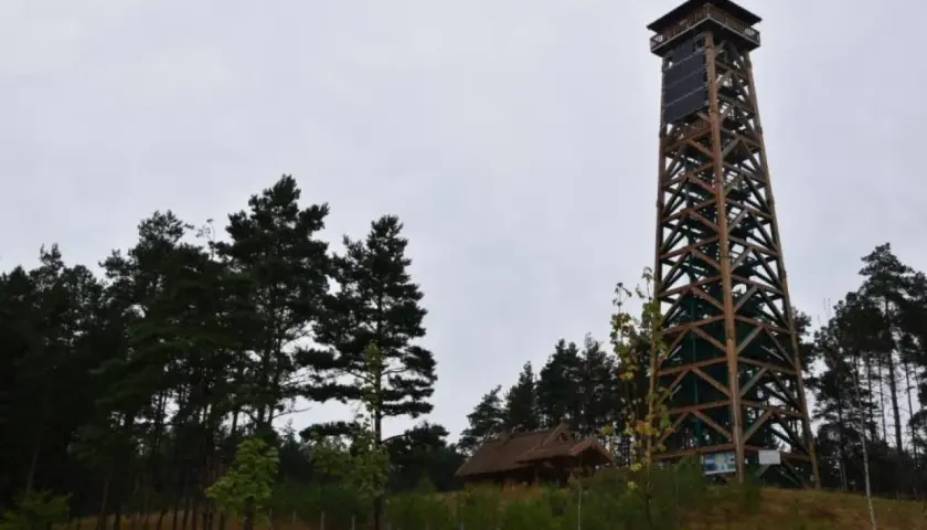Drewniana wieża widokowa góruje nad lasem. Obok niej mały domek z drewnianym dachem.
