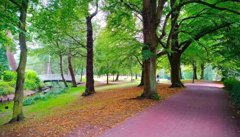 Malowniczy park w Żukowie, z mostkiem, strumykiem i alejkami, zachęca do spacerów i rowerowych wycieczek. Idealne miejsce na relaks wśród zieleni.