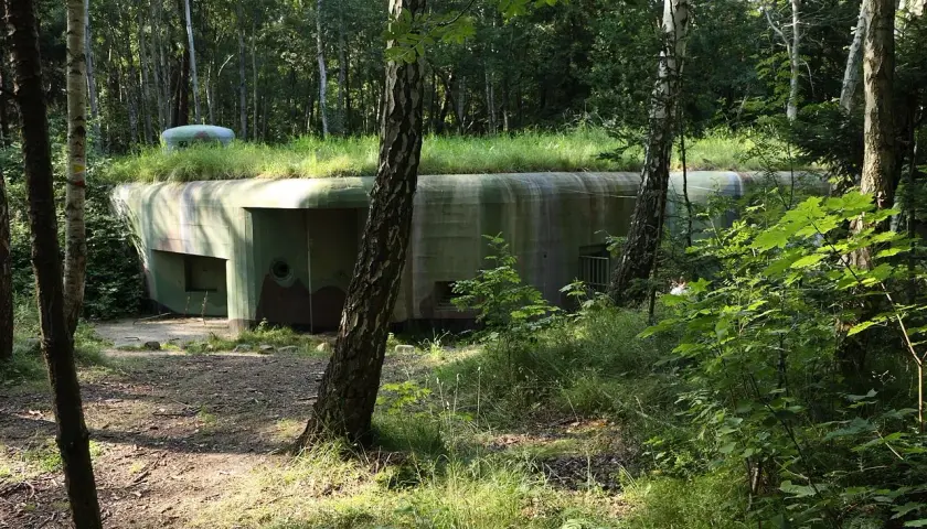 Zarośnięte trawą bunkry Hel ukryte w lesie, z widocznym wejściem i kopułą obserwacyjną.