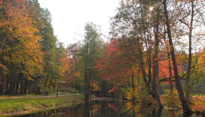 Jesienny park w Wejherowie, z jeziorem odbijającym kolorowe liście. Piękne wejherowo atrakcje przyrodnicze.