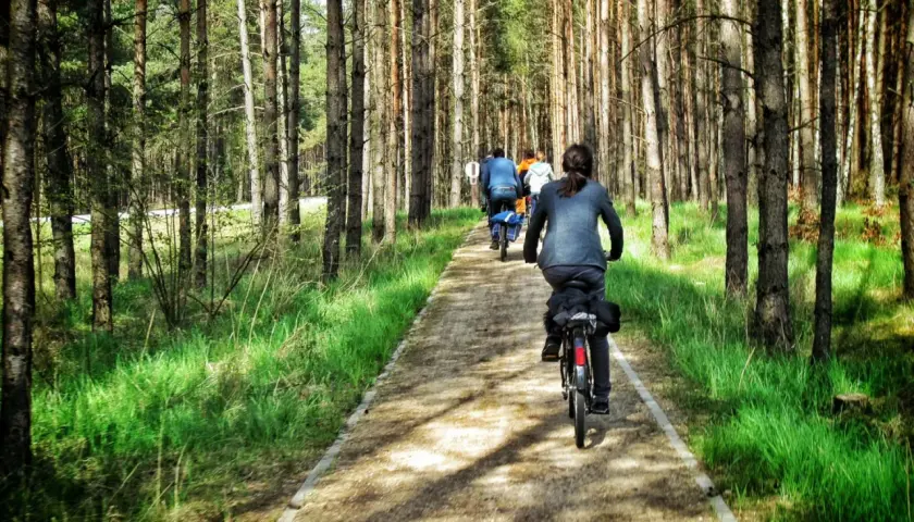 Rodzina na rowerach przemierza leśne trasy rowerowe dla dzieci. Słońce przebija się przez drzewa, tworząc magiczny klimat.