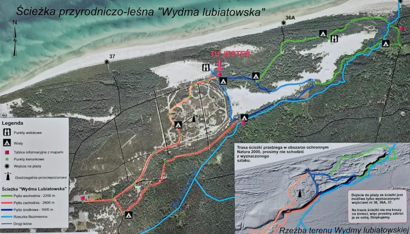 Mapa ścieżki przyrodniczo-leśnej "Wydma Lubiatowska" z zaznaczonymi pętlami, punktami widokowymi i wejściami na plażę.