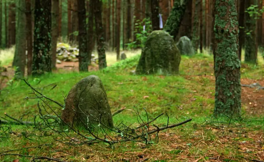 Kamienne kręgi w Węsiorach - historia i praktyczny przewodnik