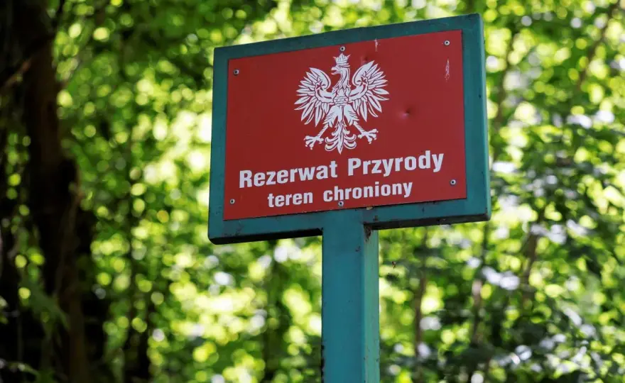 Rezerwat Dolina Huczka - trasa, przyroda i atrakcje