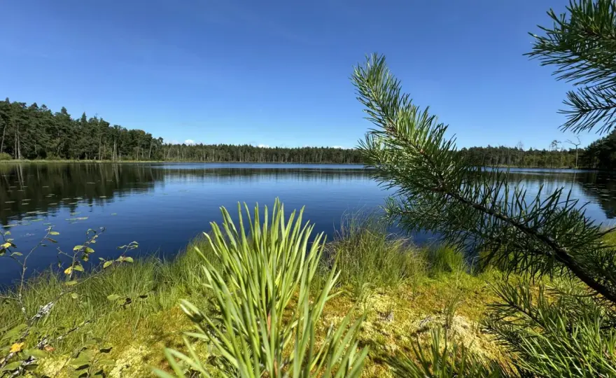 Sierakowice i okolice - atrakcje, jeziora i szlaki Kaszub