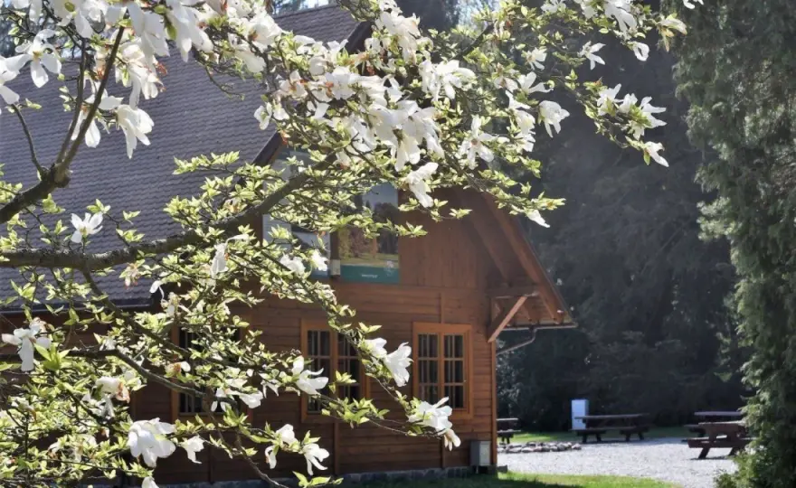 Arboretum w Wirtach - co zobaczyć i kiedy przyjechać?