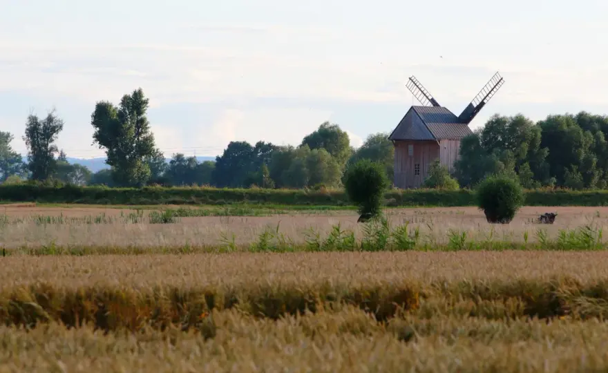 Mokry Dwór na Żuławach - kajaki, wiatrak i pomysł na wycieczkę