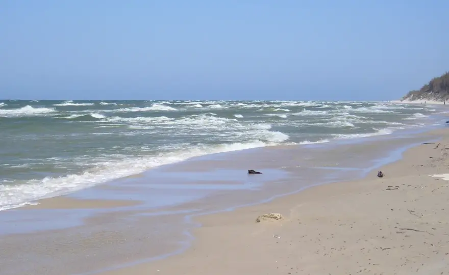 Co warto zobaczyć w Rowach? Plaża, park, Gardno i Rowokół