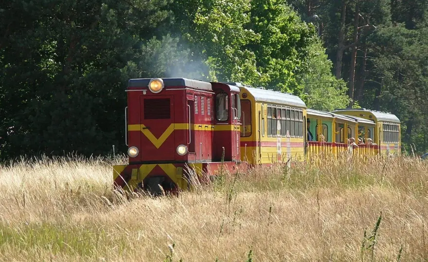 Kolejka w Jantarze - trasa, bilety i pomysł na wycieczkę
