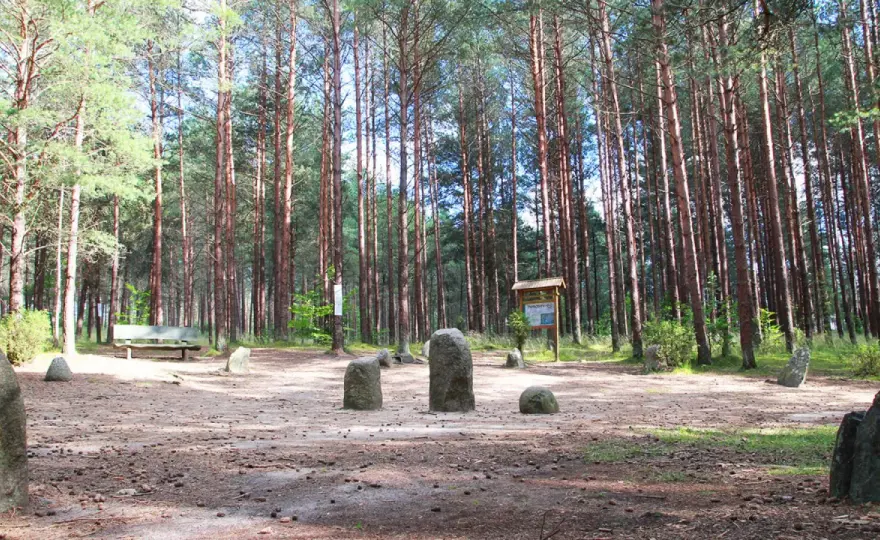 Kamienne kręgi w Węsiorach. Co warto wiedzieć przed wizytą?