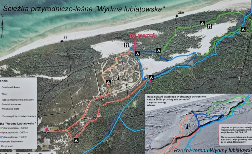 Wydma Lubiatowska - trasa, platformy i zasady zwiedzania
