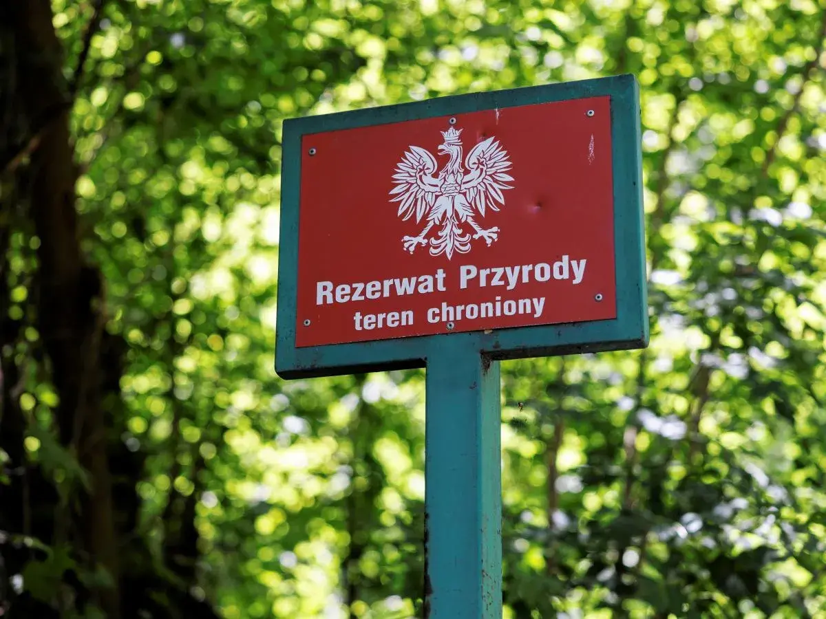 Tablica "Rezerwat Przyrody" z orłem w koronie, wskazująca na chroniony teren w dolinie Huczka.