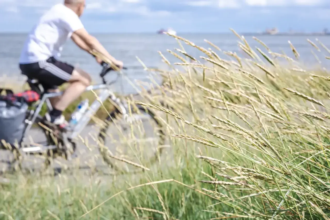 Mężczyzna na rowerze jedzie ścieżką Velo Baltica R10. Wiatr porusza trawami nad morzem.