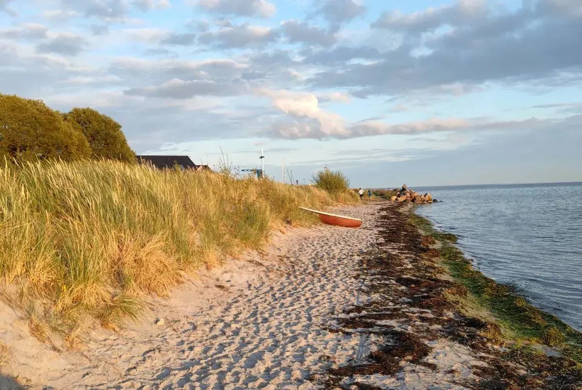 Piękna plaża w Kuźnicy, z łódką na piasku i trawami na wydmach. Idealne miejsce na relaks i podziwianie widoków. Kuźnica atrakcje to przede wszystkim spokój i bliskość natury.