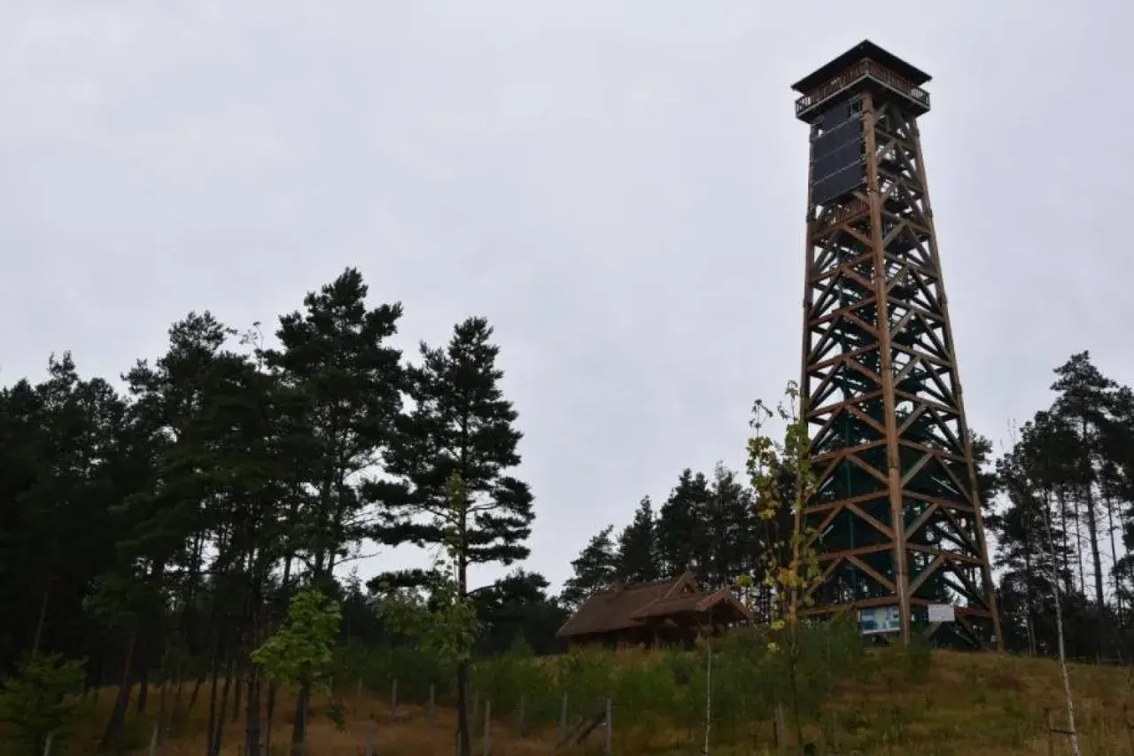 Drewniana wieża widokowa góruje nad lasem. Obok niej mały domek z drewnianym dachem.