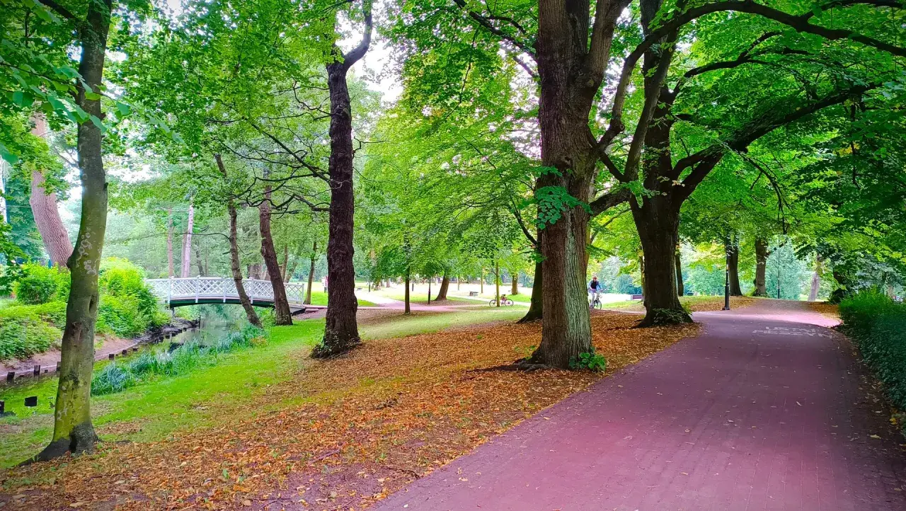 Malowniczy park w Żukowie, z mostkiem, strumykiem i alejkami, zachęca do spacerów i rowerowych wycieczek. Idealne miejsce na relaks wśród zieleni.