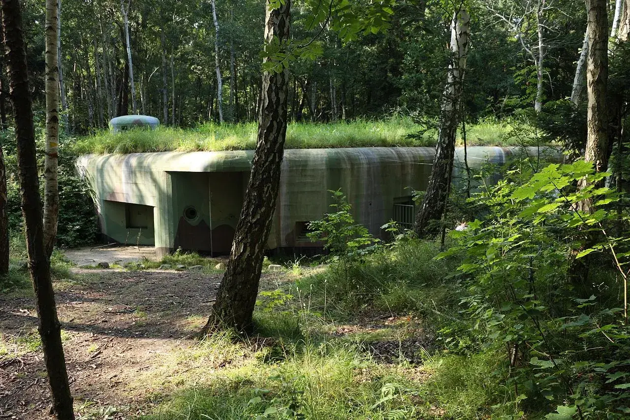 Zarośnięte trawą bunkry Hel ukryte w lesie, z widocznym wejściem i kopułą obserwacyjną.