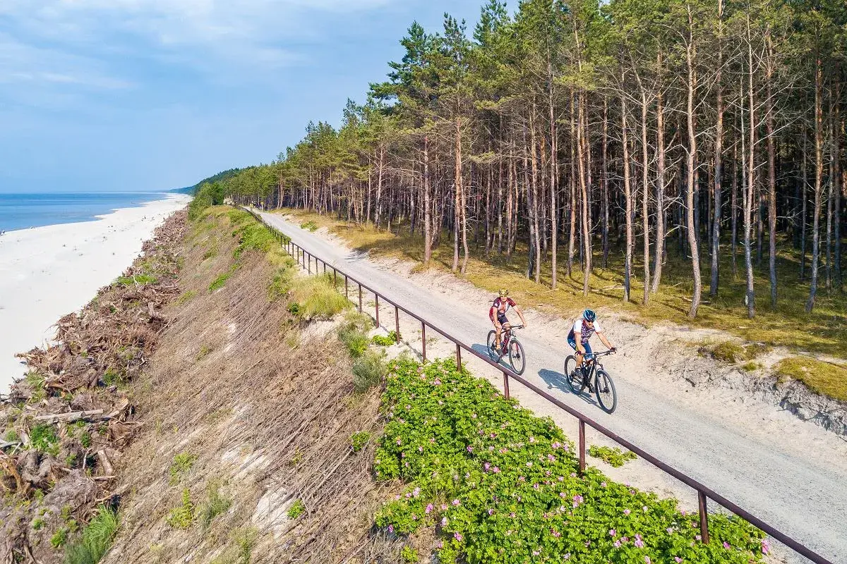 Dwóch rowerzystów przemierza malownicze trasy rowerowe Trójmiasta wzdłuż piaszczystej plaży i sosnowego lasu.