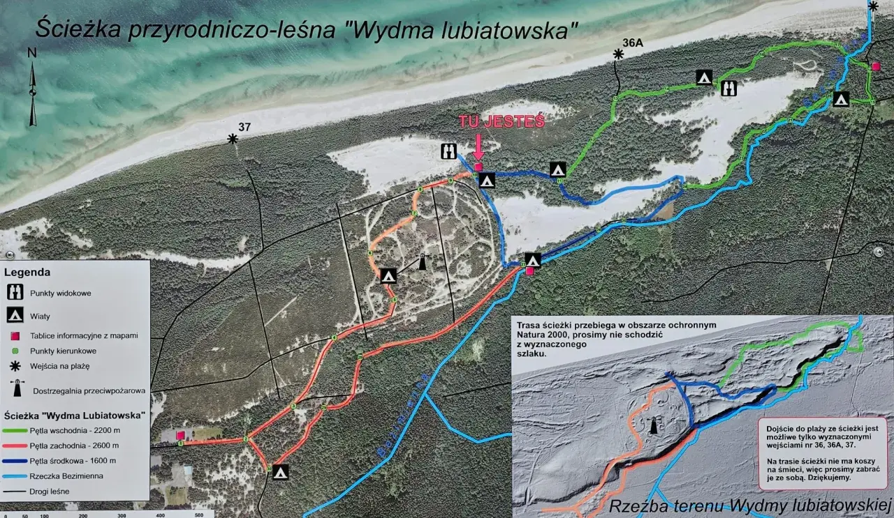 Mapa ścieżki przyrodniczo-leśnej "Wydma Lubiatowska" z zaznaczonymi pętlami, punktami widokowymi i wejściami na plażę.