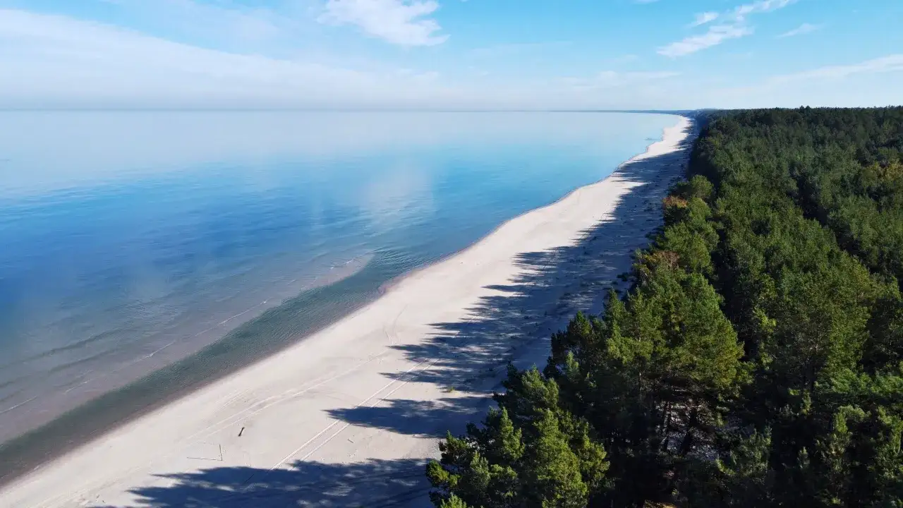 Plaża w Krynicy Morskiej, rozciągająca się od Gdańska, z lasem sosnowym i spokojnym morzem.