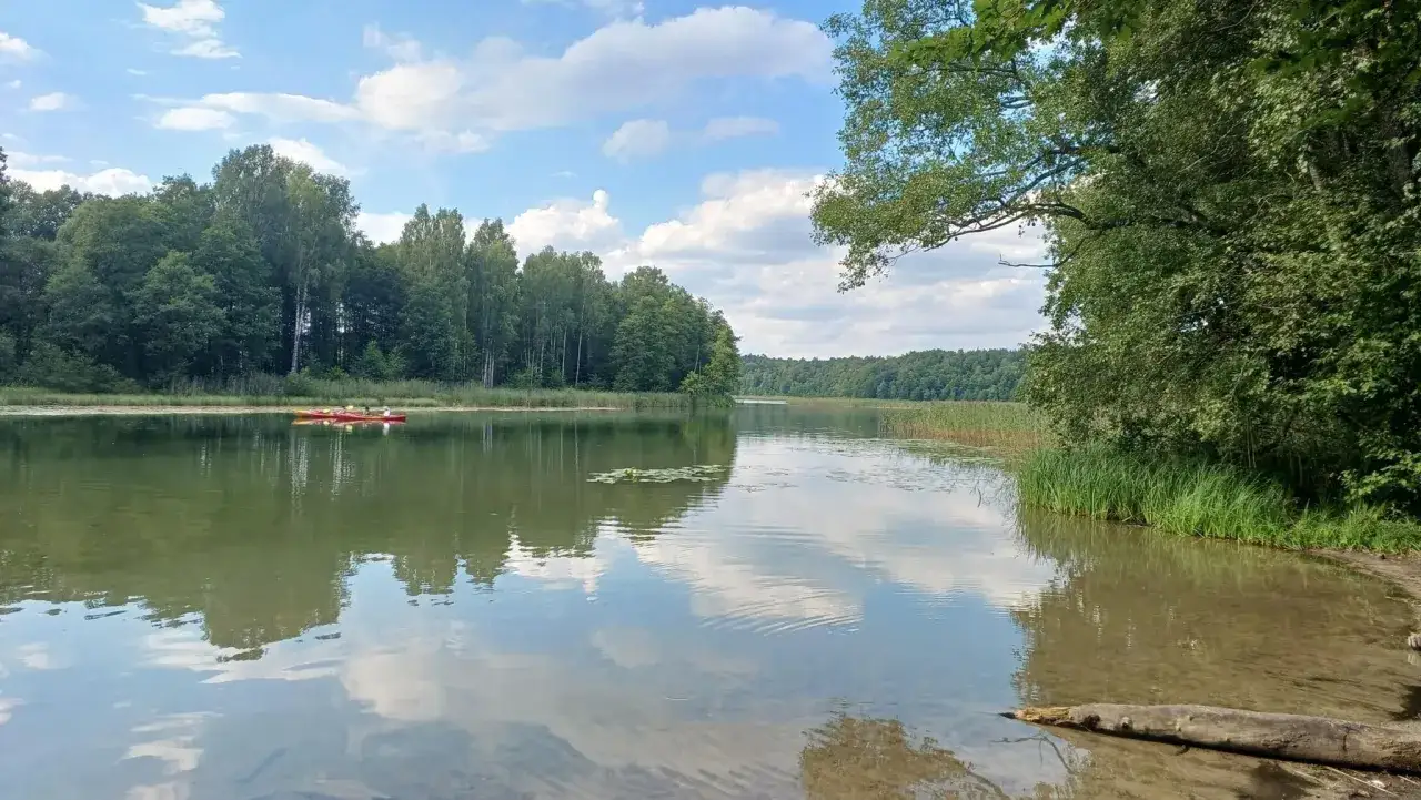 Spokojne jezioro z kajakami na wodzie, otoczone zielonymi lasami i trzcinami.