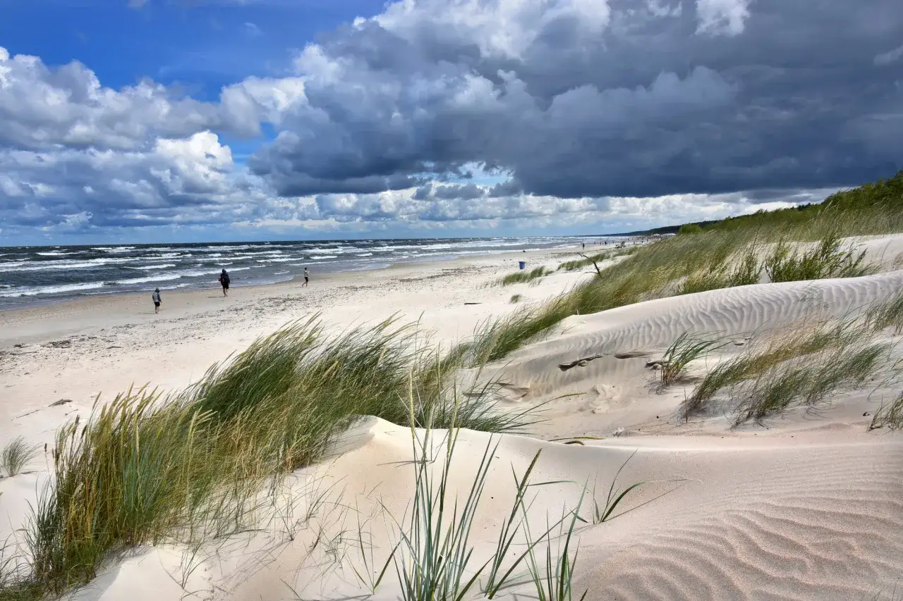 Piaszczyste wydmy porośnięte trawą na tle burzowego nieba i morza. Spacerowicze na plaży, która jest częścią mierzei wiślanej.