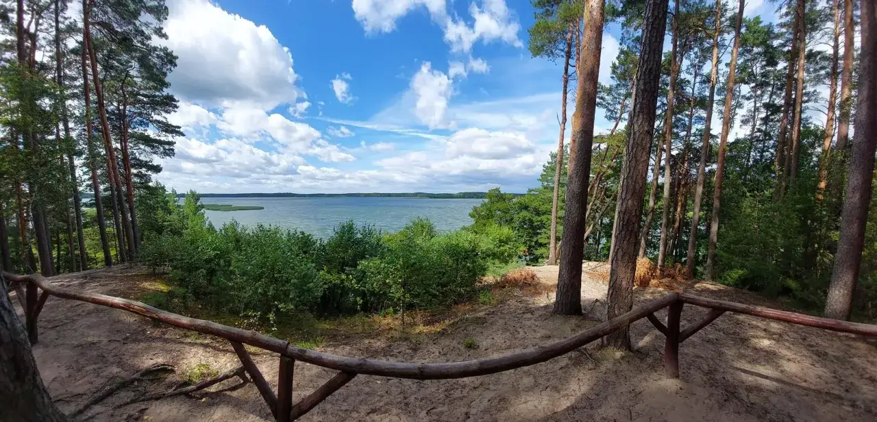 Piękny widok na jezioro z leśnego wzgórza. Idealne miejsce na odpoczynek podczas wędrówki po bory tucholskie trasa.